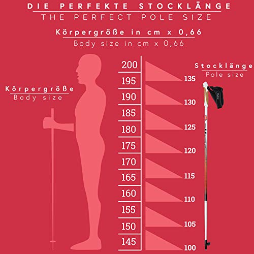 Nordic Walking Stöcke Aluminium mit Handgelenkschlaufen | GRATIS – Nordic Walking/Fitness App (120) - 2