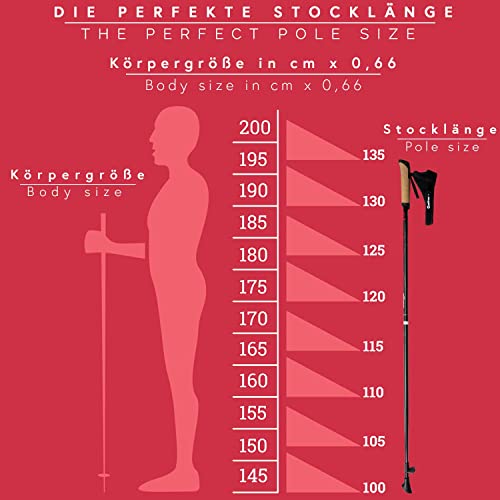 Carbon Ultra Light Walking Stock mit Handgelenkschlaufe verschiedene Längen Superleicht Premium GRATIS – Nordic Walking/Fitness App (115 cm) - 2