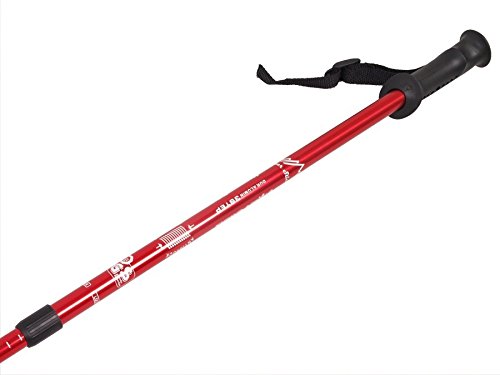 Nordic Walking Stöcke Stock Set 2 Stücke paar Trekking Wander Länge 65-135cm farbvarianten Walkingstöcke Anti-Shock Dämpfungssystem (Rot) - 3