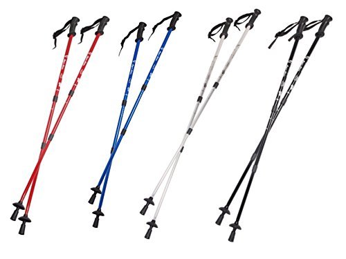 Eurobatt Nordic Walking Stöcke Set