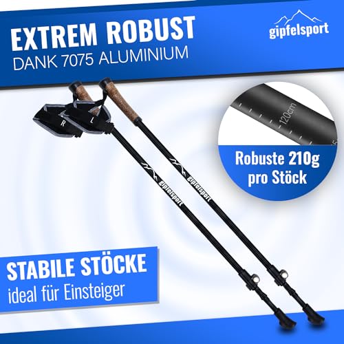 gipfelsport Nordic Walking Stöcke Aluminium - 2