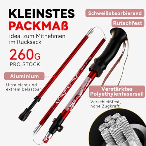 DOBESTS Wanderstöcke Aluminium & Carbon, faltbar - 2