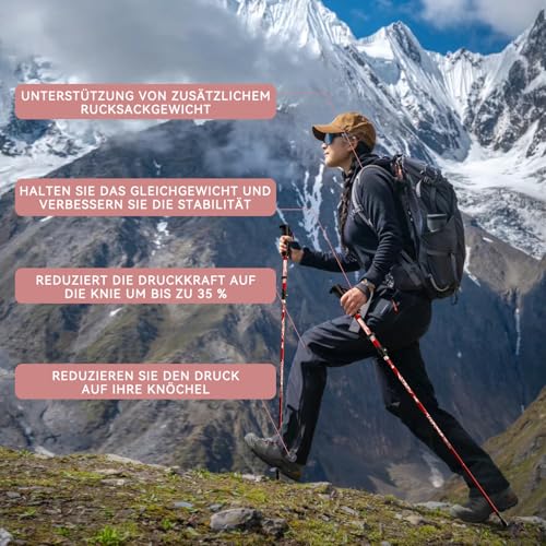 DOBESTS Wanderstöcke Aluminium & Carbon, faltbar - 6